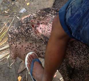 Namuang Safari Park (Koh Samui)