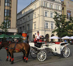 Feinste Kutschen auf dem Rynek