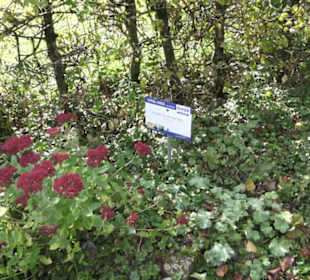 Kneippscher Sinnesgarten