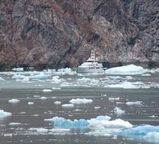 MS Zaandam befährt den Tracy Arm Fjord