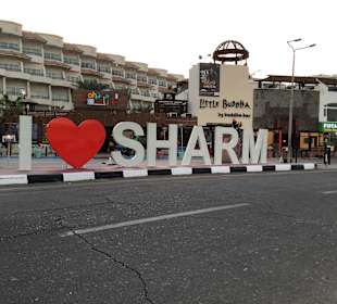 Nabq Tours & Excursions