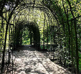 Laubengang im Bürgerpark