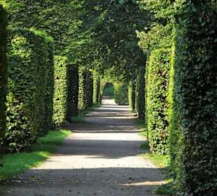 Spaziergang durch den Harburger Stadtpark