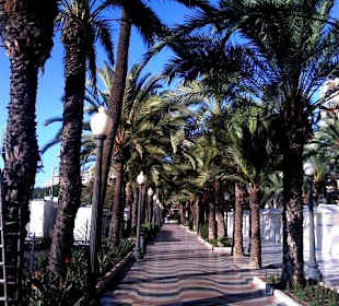 Alicante main walking area