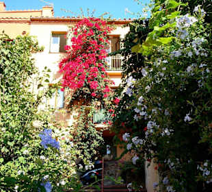 Altstadt von Collioure
