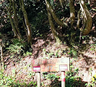 Weg hinauf zur Ruine Neuhaus