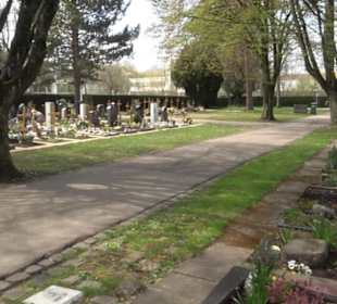 Alter Friedhof