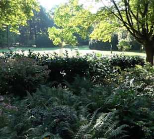Alter Botanischer Garten