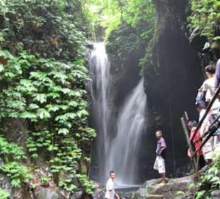 Twin Waterfalls