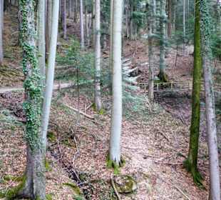 Tegernseer Höhenweg