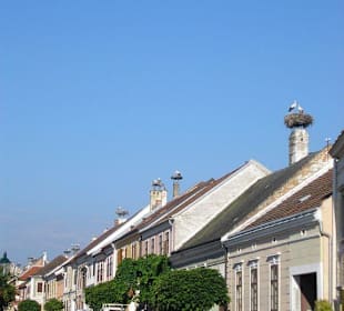 auf jedem Haus ein Storchennest - toll