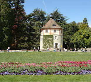 Осторов майнау