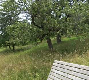 Premiumspazierweg Früchtetrauf-Leisawegle