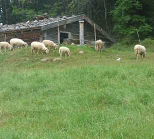 Interessantes Museum