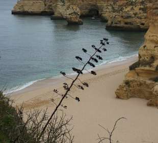 Praia de Marinha