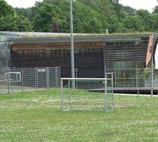 Tälehalle