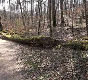 Geologischer Lehrpfad Kirnbachtal