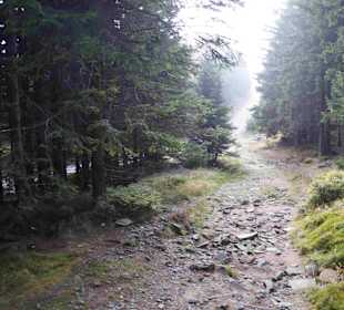Riesengebirge/Karkonosze