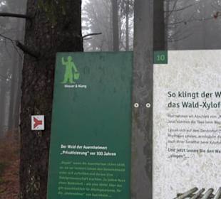 Wasser & Klang Pfad in Auernheim