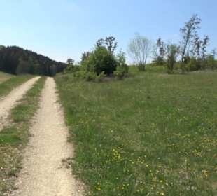 Premiumwanderweg Hochgehschätzt