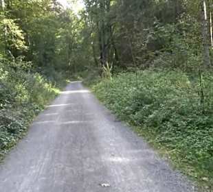 Wanderung Kirnberg-Runde Bebenhausen