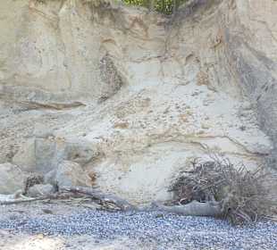 Strand Diedrichshagen