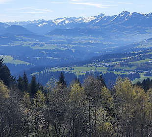 Ausblick 