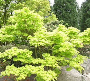 Planten und Bloomen Freizeitpark