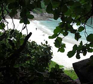 Similan Islands - Donald Duck Bay