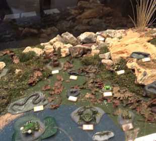 Natur- und Jagdmuseum