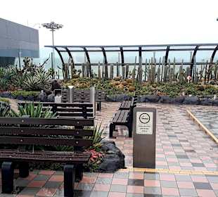 Kaktusgarten - Raucherzone