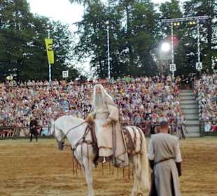 Roman Roell als Merlin