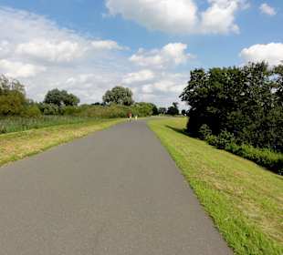 Radweg auf dem Wümmedeich durch das Blockland