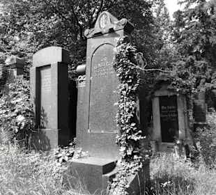 Blick auf die Gräberreihen