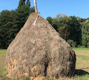Wandern Burg (Spreewald)