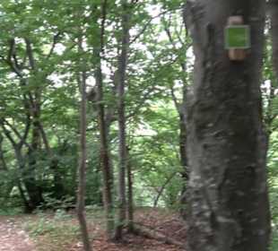 Hochgeträumt Premiumwanderung