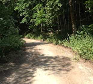 Rundwanderung Klingenbachtal - Sulzbachsee