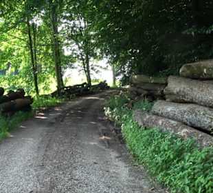 Waldlehrpfad St. Johann