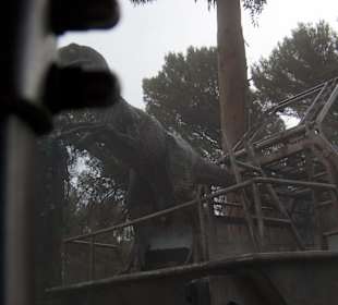 Negli studios sui set