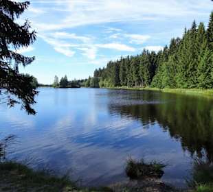 Eindrücke vom Rundgang um den Fichtelsee