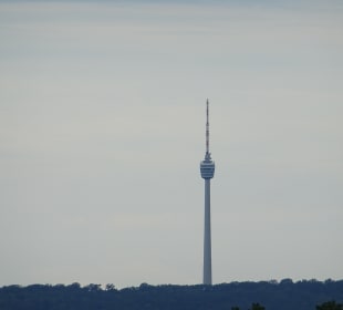 Fernsehturm von S-Freiberg aus gesehen