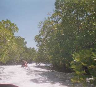Mit dem Jetski durch die Mangroven