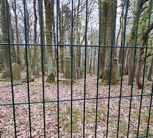 Der Jüdische Waldfriedhof