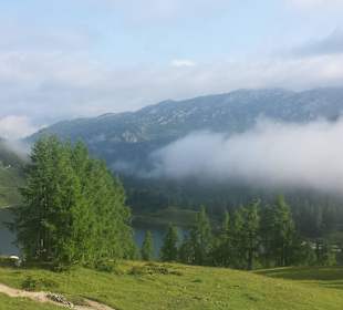 Nebel über dem Großsee