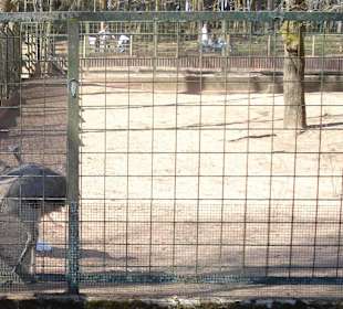  Zoologischer Garten Kaiserslautern