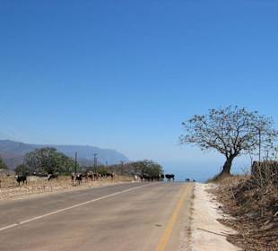 Straße nach Rakhyut
