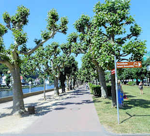Kurpark