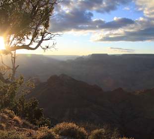 Desert View - Sunset