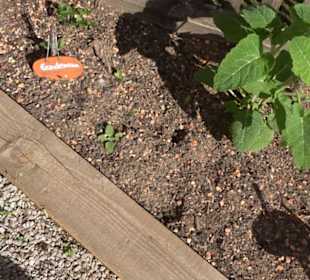 Arzneipflanzengarten Klosterreichenbach