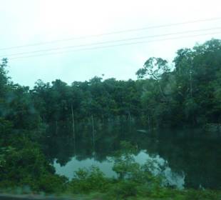 Presidente Figueiredo-Staatsstrasse BR 174 